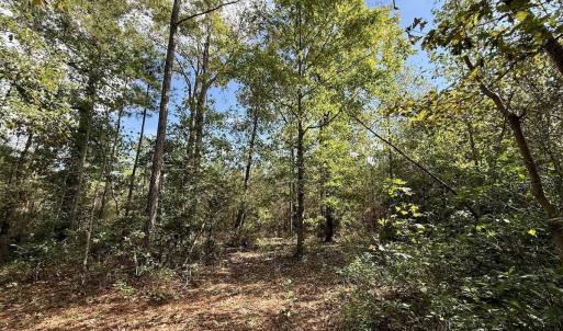 Photo #51 of Off Atkinson Cemetary Rd, Atkinson, NC 202.0 acres