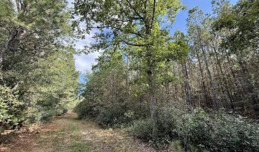 Photo #53 of Off Atkinson Cemetary Rd, Atkinson, NC 202.0 acres