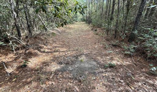 Photo #55 of Off Atkinson Cemetary Rd, Atkinson, NC 202.0 acres