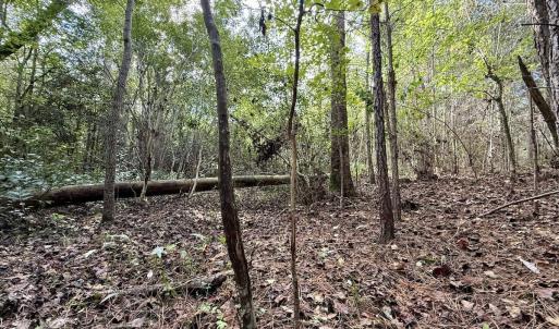 Photo #57 of Off Atkinson Cemetary Rd, Atkinson, NC 202.0 acres