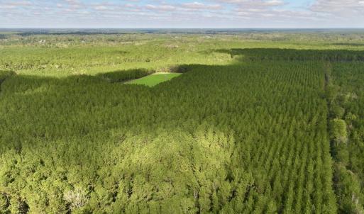 Photo #59 of Off Atkinson Cemetary Rd, Atkinson, NC 202.0 acres