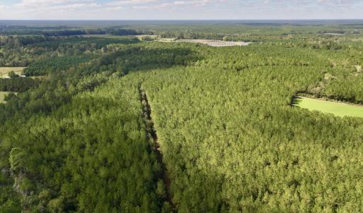 Photo #61 of Off Atkinson Cemetary Rd, Atkinson, NC 202.0 acres