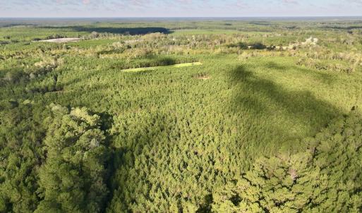 Photo #65 of Off Atkinson Cemetary Rd, Atkinson, NC 202.0 acres