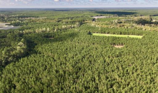 Photo #67 of Off Atkinson Cemetary Rd, Atkinson, NC 202.0 acres