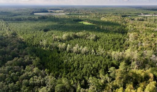 Photo #70 of Off Atkinson Cemetary Rd, Atkinson, NC 202.0 acres