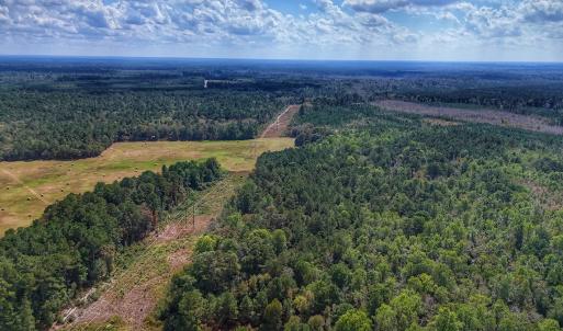 Photo #10 of Off Burney Road, White Oak, NC 9.0 acres