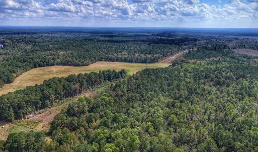 Photo #11 of Off Burney Road, White Oak, NC 9.0 acres