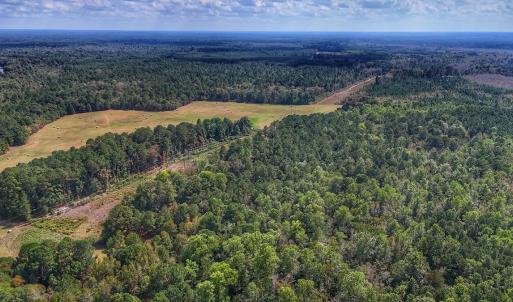 Photo #12 of Off Burney Road, White Oak, NC 9.0 acres