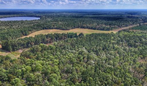 Photo #13 of Off Burney Road, White Oak, NC 9.0 acres