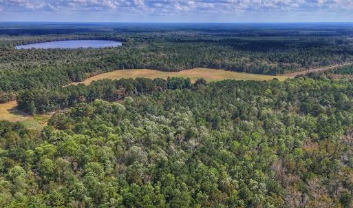 Photo #14 of Off Burney Road, White Oak, NC 9.0 acres