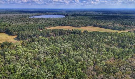 Photo #15 of Off Burney Road, White Oak, NC 9.0 acres