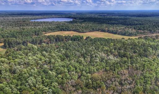 Photo #16 of Off Burney Road, White Oak, NC 9.0 acres