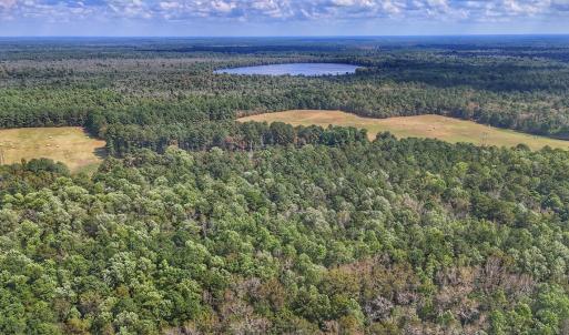 Photo #17 of Off Burney Road, White Oak, NC 9.0 acres