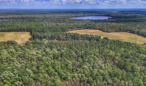 Photo #18 of Off Burney Road, White Oak, NC 9.0 acres