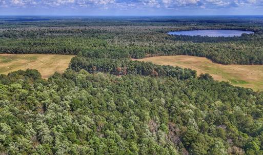 Photo #19 of Off Burney Road, White Oak, NC 9.0 acres