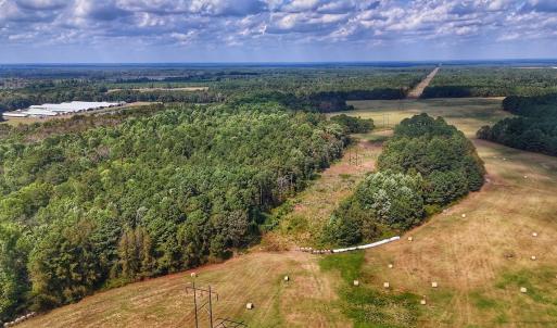 Photo #1 of Off Burney Road, White Oak, NC 9.0 acres