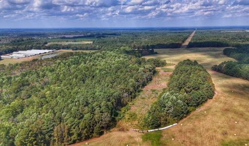 Photo #2 of Off Burney Road, White Oak, NC 9.0 acres