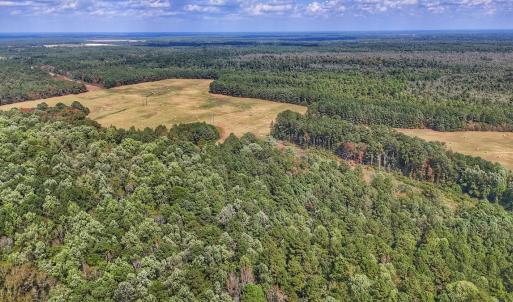 Photo #20 of Off Burney Road, White Oak, NC 9.0 acres