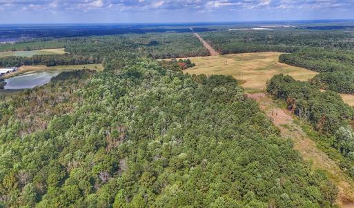 Photo #21 of Off Burney Road, White Oak, NC 9.0 acres