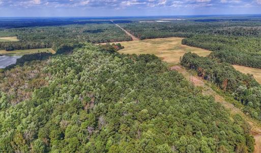Photo #22 of Off Burney Road, White Oak, NC 9.0 acres