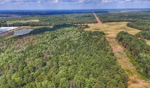 Photo #23 of Off Burney Road, White Oak, NC 9.0 acres