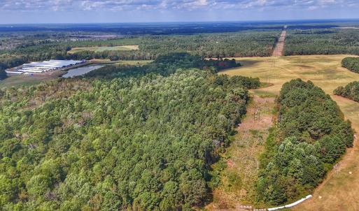 Photo #24 of Off Burney Road, White Oak, NC 9.0 acres