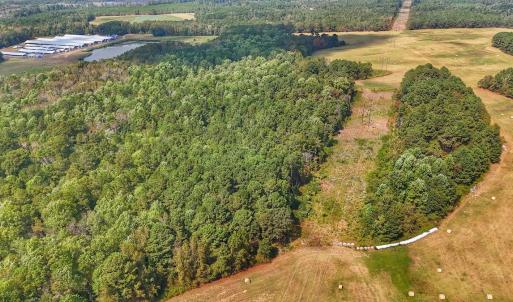 Photo #25 of Off Burney Road, White Oak, NC 9.0 acres