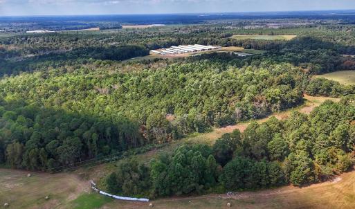 Photo #27 of Off Burney Road, White Oak, NC 9.0 acres