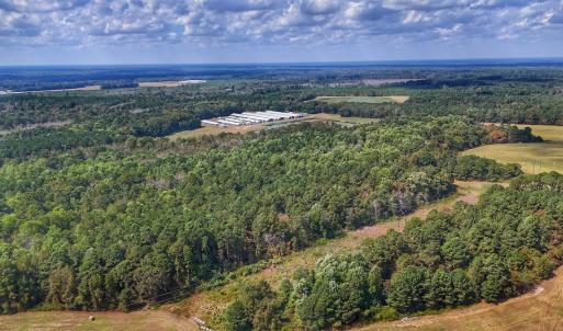 Photo #3 of Off Burney Road, White Oak, NC 9.0 acres