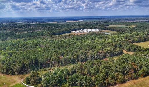 Photo #4 of Off Burney Road, White Oak, NC 9.0 acres