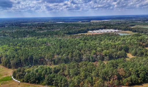 Photo #5 of Off Burney Road, White Oak, NC 9.0 acres