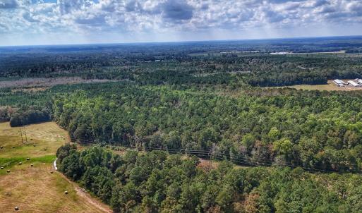 Photo #6 of Off Burney Road, White Oak, NC 9.0 acres
