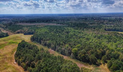 Photo #7 of Off Burney Road, White Oak, NC 9.0 acres