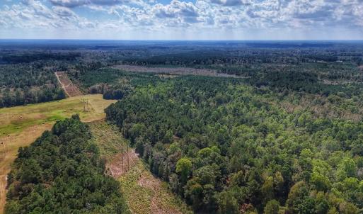 Photo #8 of Off Burney Road, White Oak, NC 9.0 acres