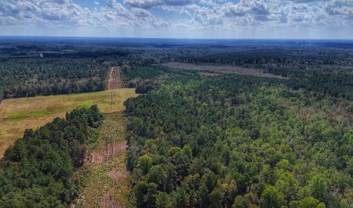 Photo #9 of Off Burney Road, White Oak, NC 9.0 acres