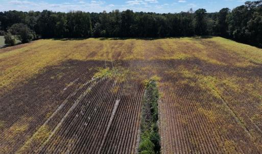 Photo #11 of Off Corbett Hill Road, Mount Olive, NC 21.5 acres