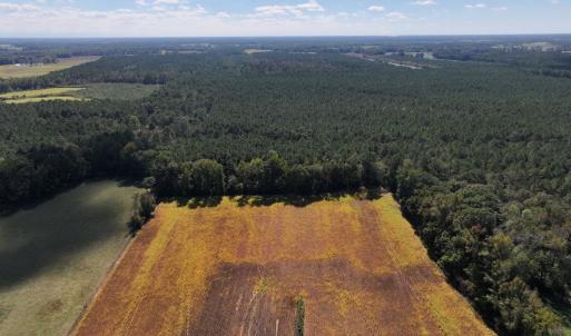 Photo #12 of Off Corbett Hill Road, Mount Olive, NC 21.5 acres