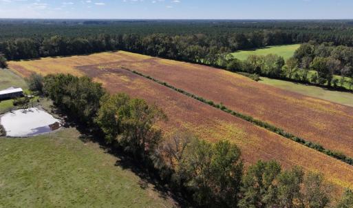 Photo #16 of Off Corbett Hill Road, Mount Olive, NC 21.5 acres