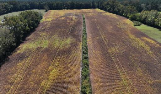 Photo #17 of Off Corbett Hill Road, Mount Olive, NC 21.5 acres