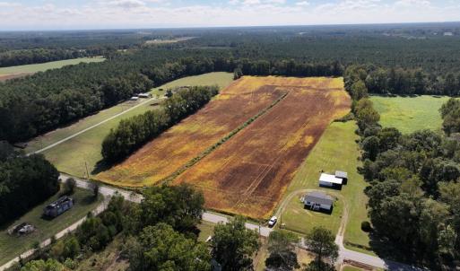 Photo #3 of Off Corbett Hill Road, Mount Olive, NC 21.5 acres