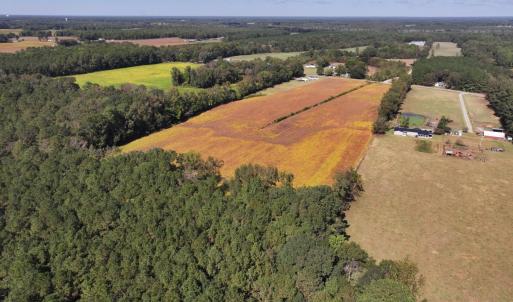 Photo #5 of Off Corbett Hill Road, Mount Olive, NC 21.5 acres