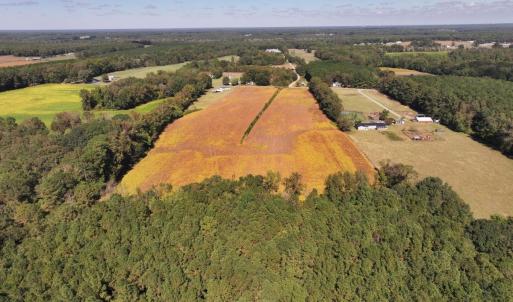 Photo #7 of Off Corbett Hill Road, Mount Olive, NC 21.5 acres