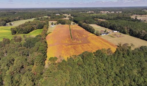 Photo #8 of Off Corbett Hill Road, Mount Olive, NC 21.5 acres