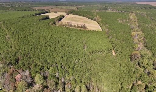 Photo #10 of Off Gaskins Rd, Grimesland, NC 135.3 acres
