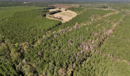 Photo #12 of Off Gaskins Rd, Grimesland, NC 135.3 acres