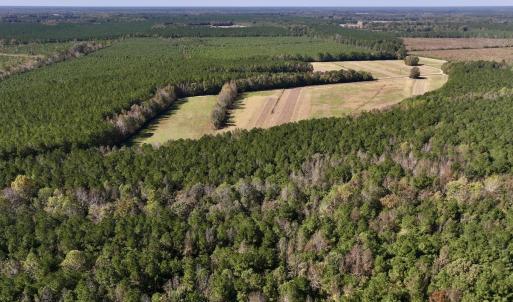 Photo #13 of Off Gaskins Rd, Grimesland, NC 135.3 acres