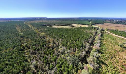 Photo #14 of Off Gaskins Rd, Grimesland, NC 135.3 acres