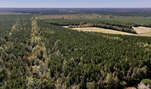 Photo #15 of Off Gaskins Rd, Grimesland, NC 135.3 acres