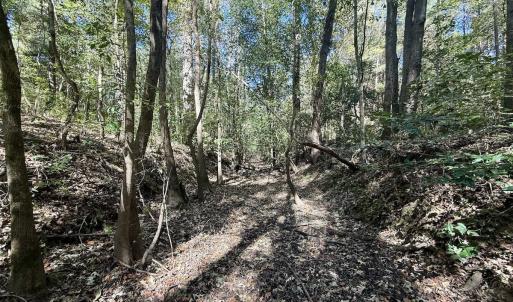 Photo #16 of Off Gaskins Rd, Grimesland, NC 135.3 acres
