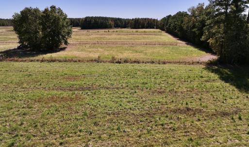 Photo #19 of Off Gaskins Rd, Grimesland, NC 135.3 acres
